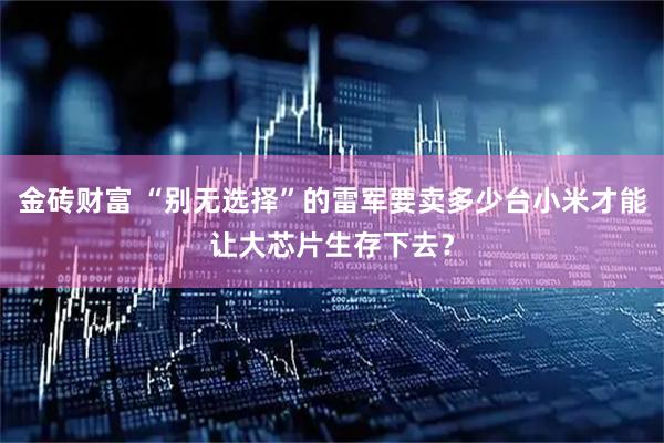 金砖财富 “别无选择”的雷军要卖多少台小米才能让大芯片生存下去？