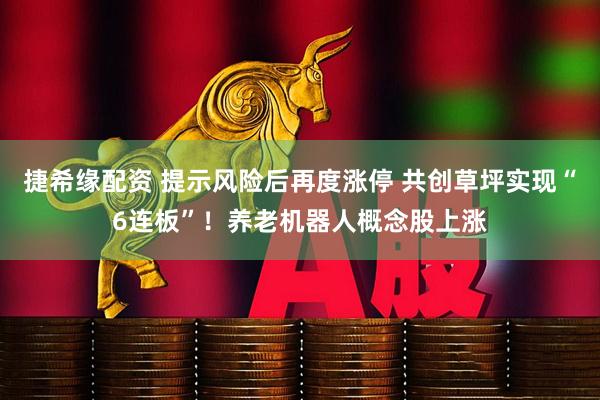 捷希缘配资 提示风险后再度涨停 共创草坪实现“6连板”！养老机器人概念股上涨