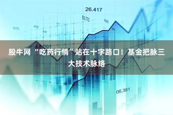 股牛网 “吃药行情”站在十字路口！基金把脉三大技术脉络