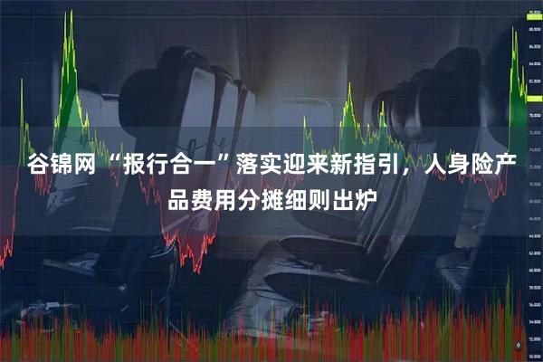 谷锦网 “报行合一”落实迎来新指引，人身险产品费用分摊细则出炉