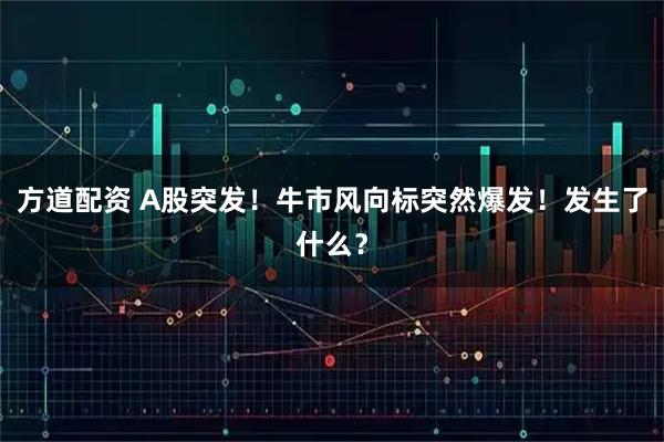 方道配资 A股突发！牛市风向标突然爆发！发生了什么？