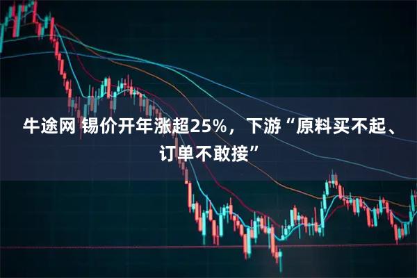 牛途网 锡价开年涨超25%，下游“原料买不起、订单不敢接”